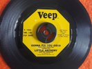 Northern soul Little Anthony Gonna fix you good EX condition