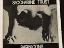 SACCHARINE TRUST PAGANICONS 1981 SST LP ORIGINAL PRESS WEIRD PUNK ROCK MIKE WATT