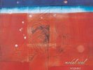 Nujabes modal soul Vinyl Record LP Analog From Japan Ship Via FedEx /