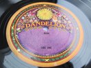 Beau CREATION  RARE 1971 UK PSYCH LP 1st Press Dandelion PLAYS MINT MINUS HEAR