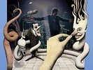 Chameleons Vox Strange Times Live Double LP Vinyl NEW