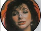 Kate Bush Speaks Interview 1986 PICTURE DISC 7 inch vinyl single Mint Unplayed