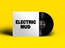 MUDDY WATERS - ELECTRIC MUD   VINYL LP LIKE NEW