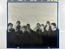 Sonic Youth - Sonic Youth Vinyl Record 2006 Pressing GOO-08