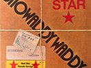 Showaddywaddy, Red Star , LP, NEW, Brown Vinyl, Ex 2019 Box Set, Not Sealed