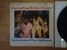 Herbie Goins & Nightimers Comin' home to you 7