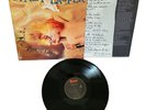 Cyndi Lauper – True Colors LP 1986 Portrait – R 40313 EX/EXC NM VG++