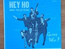 GUESS WHO ?  /   CHAD ALLAN & THE EXPRESSIONS    RARE LP       Excellent
