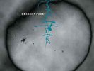 Brendan Perry | Green Vinyl LP | Eye of the Hunter / Live at the