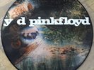 PINK FLOYD PICTURE DISC: