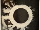 Bauhaus 
