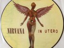 Picture disc vinyl Nirvana 