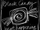 Beat Happening |  Vinyl LP | Black Candy  | Domino