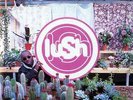 Lush | Black Vinyl LP | Lovelife  | 4AD