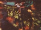 Creedence Clearwater Revival - Bayou Country 8387 Stereo Vinyl LP Record