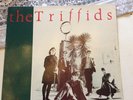 The Triffids - Treeless Plain - Rare Vinyl Hot 1003 FREE P&P