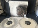 Meshuggah Contradictions Collapse  Limited Bone w/ Grey swirl VINYL LP Rare