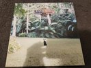MATT CORBY - RAINBOW VALLEY LP - LIMITED GREEN VINYL - NEAR MINT