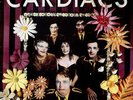 Big Ship EP + l... Cardiacs 12
