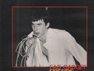 Fad Gadget Fireside Favourites Mute Vinyl LP