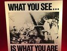 VARIOUS What You See Is What You Are 1978 UK vinyl LP EXCELLENT Alternative TV