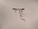 GONZALEZ, Jose - In Our Nature - Vinyl (LP)