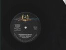 JUNIOR CAT / SKENGDON BRING REGGAE MUSIC / POOR PEOPLE MI LOVE / 12''