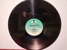SELENA Y LOS DINOS RARE LP 1989 VERY GOOD/ VERY NICE SHEEN CAPITOL/EMI W/ BONUS