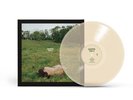 Kacey Musgraves Deeper Well  Vinyl  PRESALE