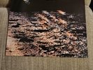 Black Sabbath Live At Last 1982 LP Vinyl NEMS Record Printed/ Made In England