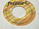 Ramon Ayala Y Los Bravos Del Norte – Que Casualidad / A Ver Te Vengo 45 RPM