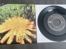 Daylight Dispirit Black 7” Vinyl 2010 Six Feet Under Records Superheaven