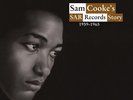 Various Artists SAM COOKE'S SAR RECORDS STORY (1959-1965) New Sealed Vinyl 4 LP
