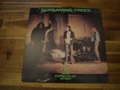 Screaming Trees ‎– Even If And Especially When (1987 Vinyl)