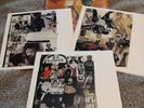 Royal Trux Original Pressing Singles Live Unreleased Vinyl Box Set DC-93 Rare