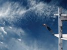 THE BOXER REBELLION PROMISES NEW LP