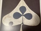 Grizzly Bear Vinyl Discography Bundle All Albums Some Sealed With VMP Exclusives