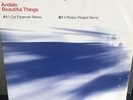 Andain – Beautiful Things Near Mint Throughout Rare 12” Vinyl Record