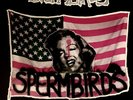 Spermbirds ‎– Common Thread LP | X-Mist 1990 | Negazione Raw Power Lärm Heresy