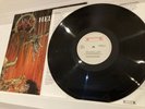 Slayer - Hell Awaits 1985 Europe Press Vinyl LP (Roadrunner RR 9795)
