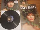 Kate Bush-Live At Hammersmith Odeon RARE VINYL SET 378/545 WITH POSTER/POSTCARD