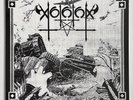 Vothana – Action Now, Assured Future LP 2022 - 2nd Pressing - Marbled - NEW