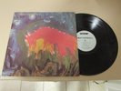 Meat Puppets II 1984 SST Rec 1st Press LP
