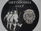 CCCP  Fedeli alla linea Lp Picture disc