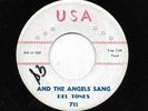 DEL TONES 45RPM '63 USA AND THE ANGELS SANG AWESOME VERSION VG+++ VINYL RARE