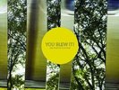 YOU BLEW IT - KEEP DOING WHAT YOU'RE DOING NEW VINYL