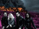 The Dead Weather - Dodge And Burn [New Vinyl LP]