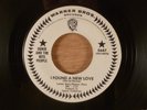 Ognir And The Nite People  I Found A New Love/All My Heart  Promo RARE  Garage