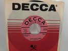 The Rovin’ Flames “How Many Times”/“Love Song # 6” Promo Decca Garage FLORIDA NM
