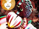 Björk - Fossora Reimagined Crystal Clear EP Vinyl Box (2023 - EU - Original)